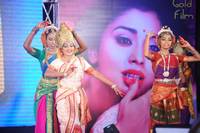 Pavitra Audio Launch